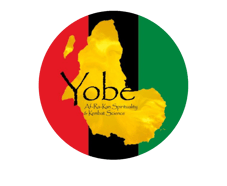 African Martial Arts Hampton Roads