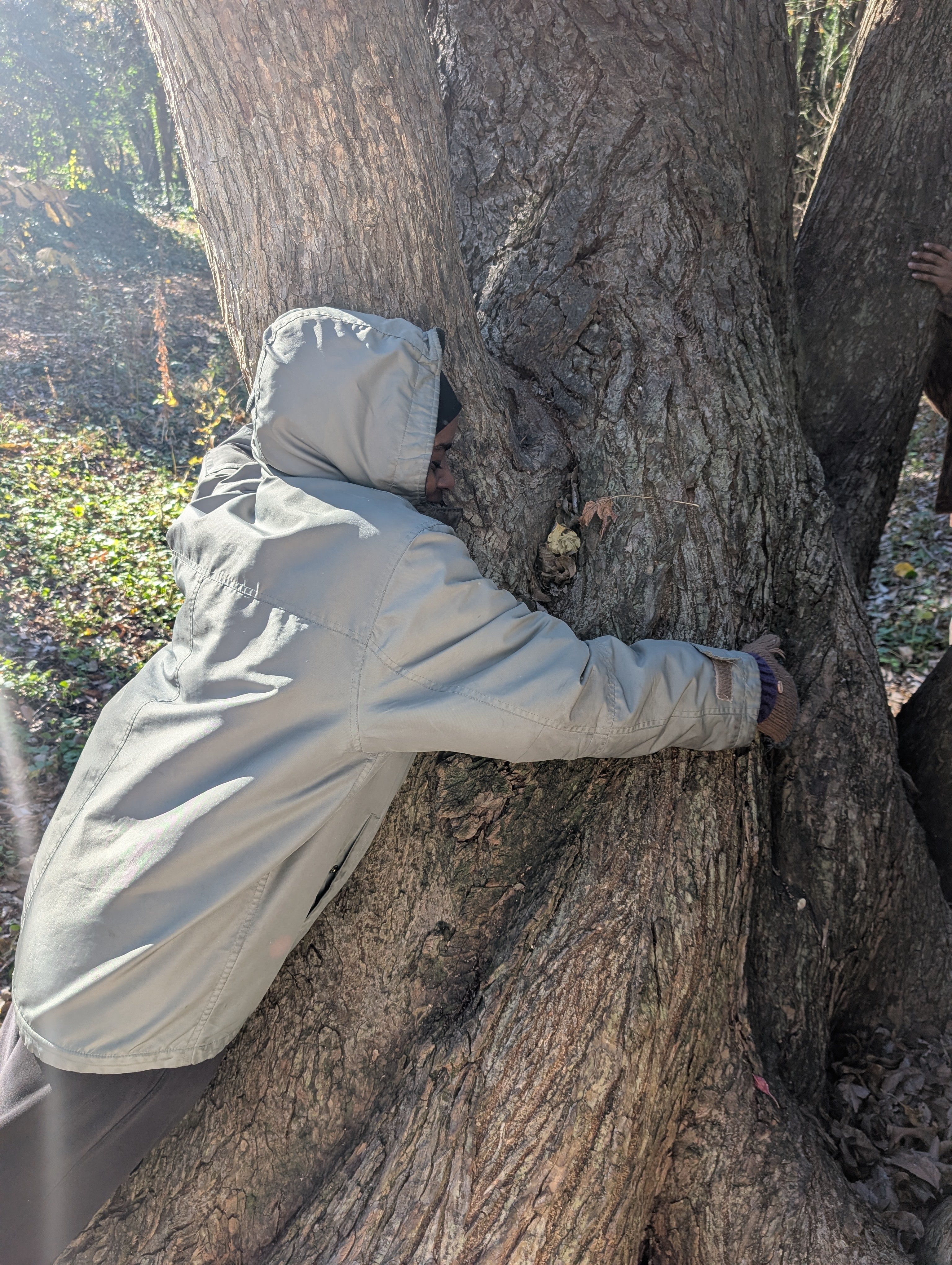 PXL_20251128_155204873